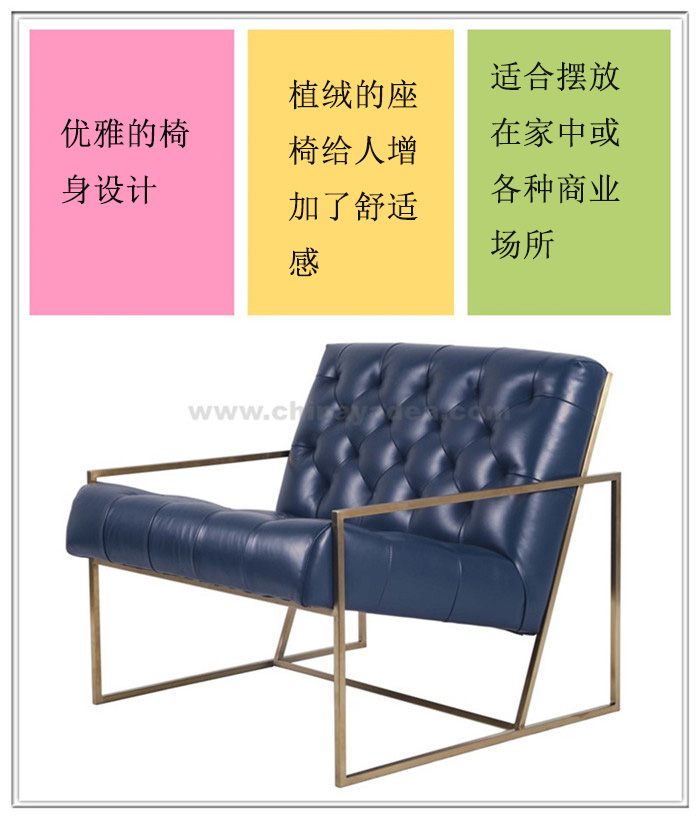 簡(jiǎn)約復(fù)古休閑椅（Thin Frame Lounge Chair）圖片